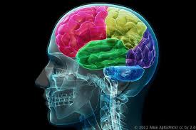 Probing the brain of an idiot or genius will find only the physical matter of the brain itself.