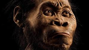 THE EXPRESSION OF INTELLIGENCE