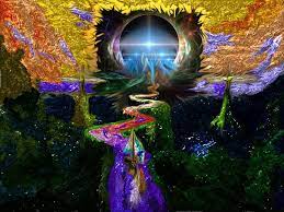 THROUGH THE HIDDEN WORLD