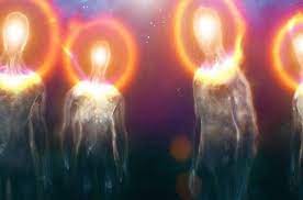 WHY STUDY THE SOUL FAMILY?